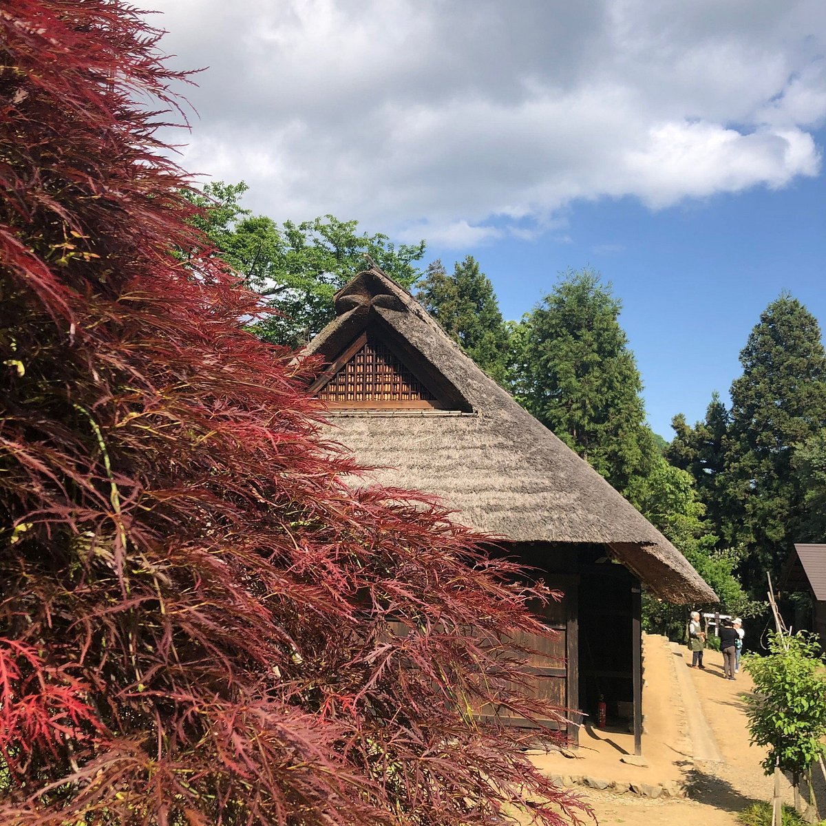 🏛️ 구 나카무라 가문 주택 (큐 나카무라케 주타쿠) 이미지 1